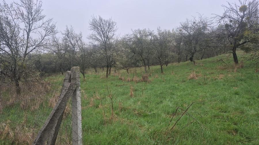 Teren de 4000 mp, în Groși