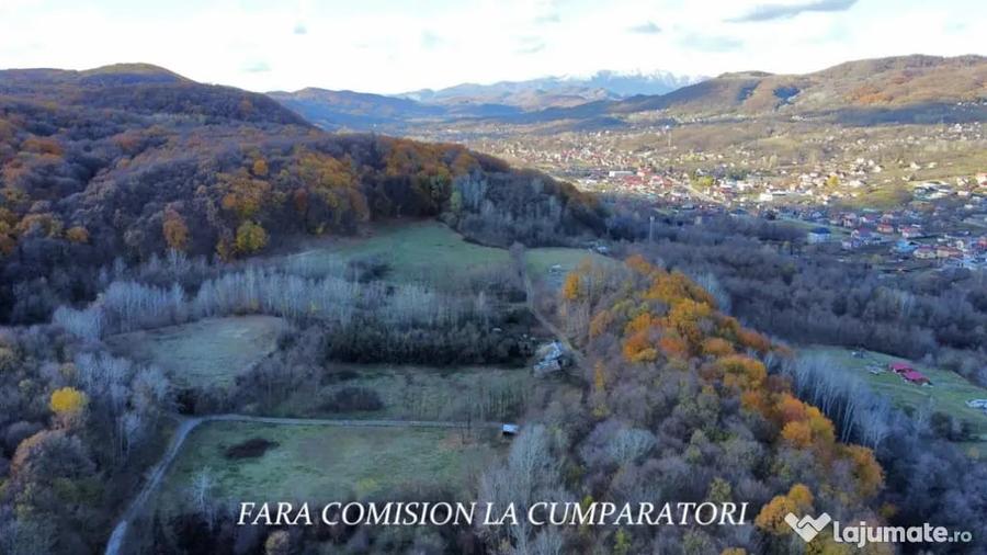 PADURE LANGA ORAS ACCES BUN IDEALA PENTRU ACTIVITATI DE AGRE - Ramnicu Valcea (Valcea) - 3