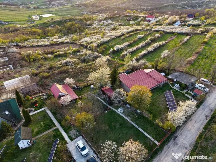 Teren în Central