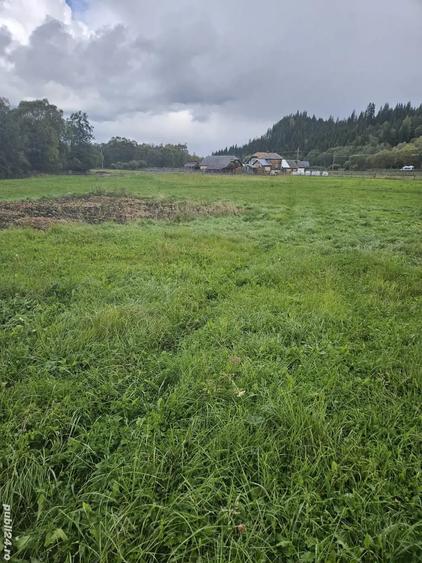 Teren de 5908 mp, în Poiana Stampei