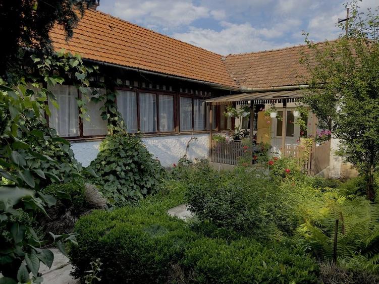 Casă cu Teren 320 Mp în Central