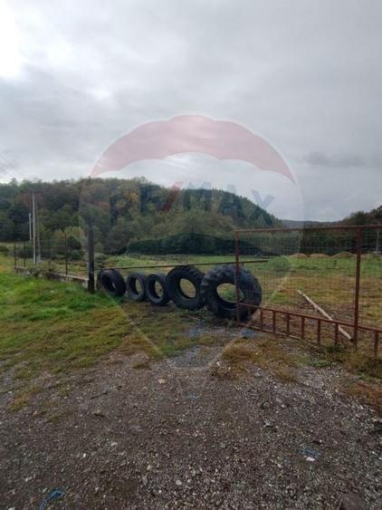 Teren Construcții intravilan de 12095 mp, în Avram Iancu (Vârfurile)