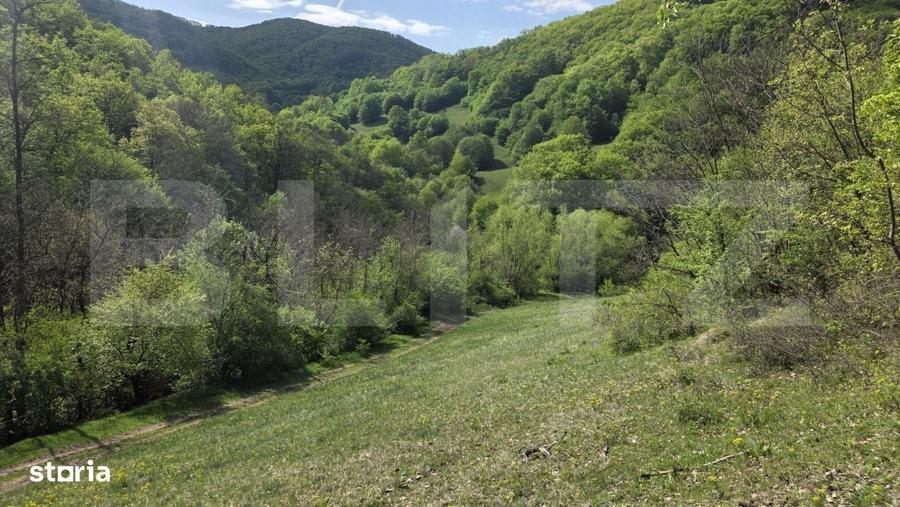 Spațiu comercial, în Pădure