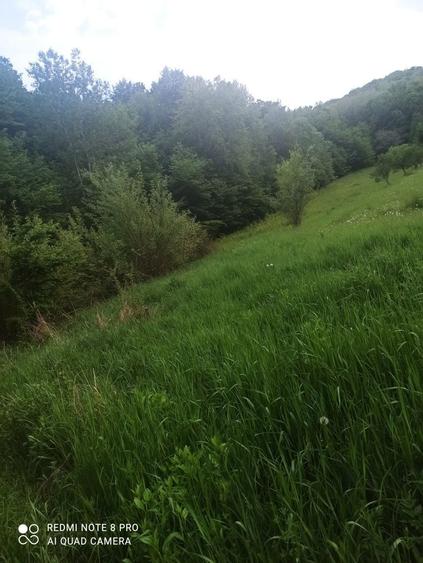 Vand teren 8 euro la 13 km de Pitesti - 3