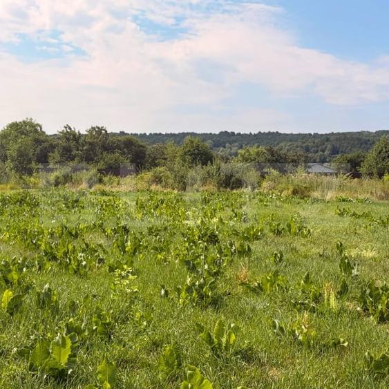 Teren Construcții intravilan de 3600 mp, în Bogdănești
