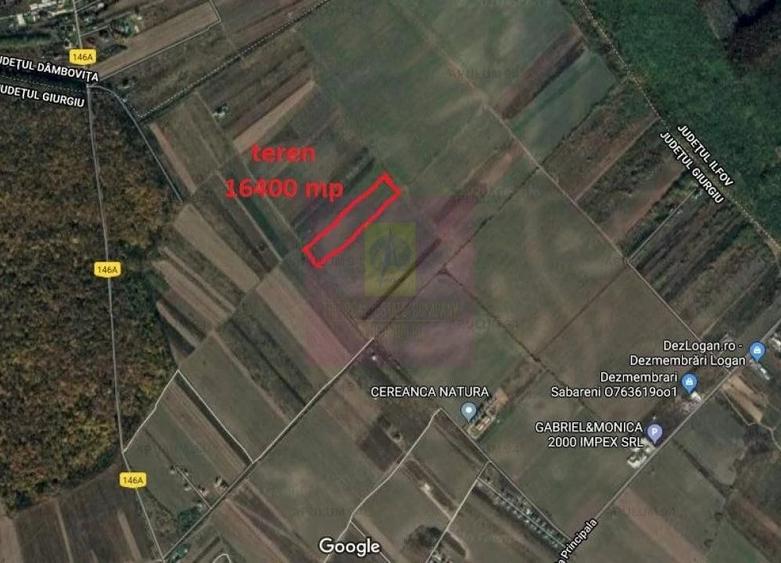 Teren de 16400 mp, în Săbăreni