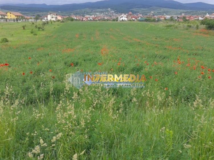 Teren Construcții intravilan de 4300 mp, în Cetate