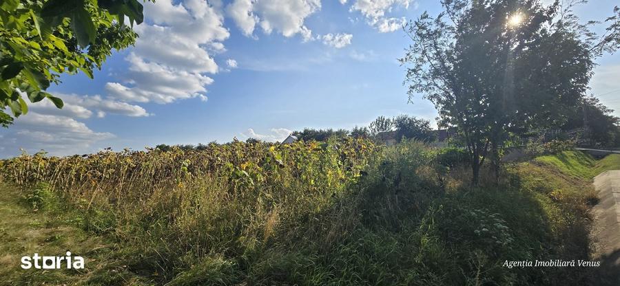 Teren de 3200 mp, în Curtești