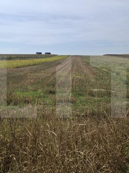 Teren Construcții intravilan de 3800 mp, în Sud-Est