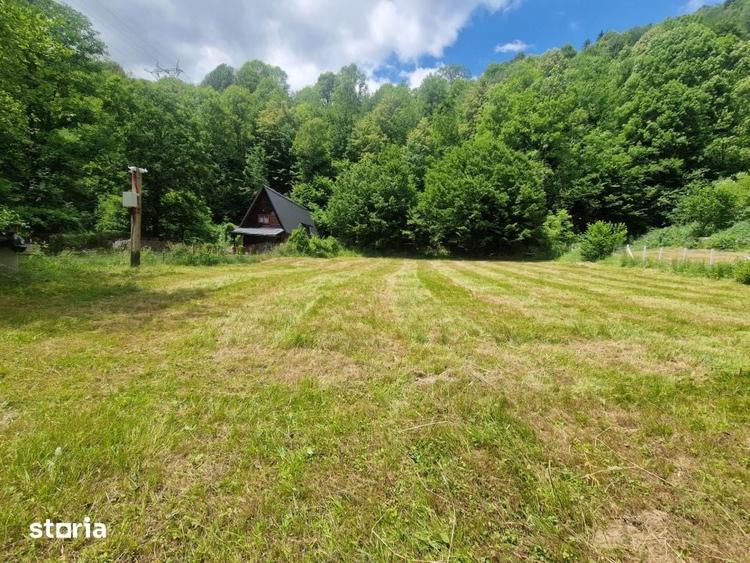 Teren ideal pentru casa de vacanta, aproape de coada lacului Tarnita - 4