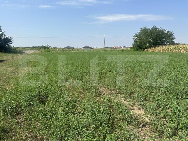 Teren Construcții extravilan de 600 mp, în Carpați 2