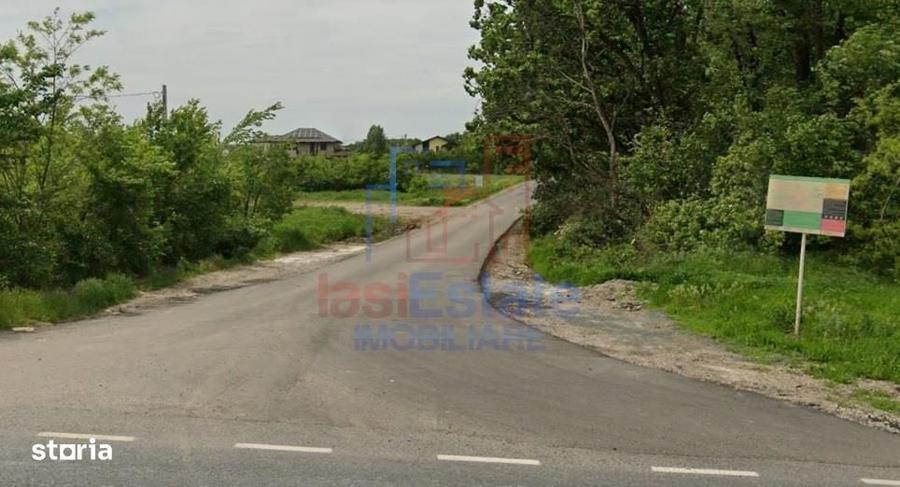 Zona Valea Ursului langa padure TEREN 2840mp cu toate utilitatile - 4