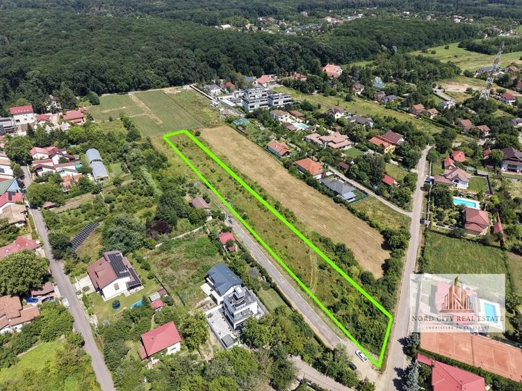 Teren Construcții intravilan de 4417 mp, în Snagov