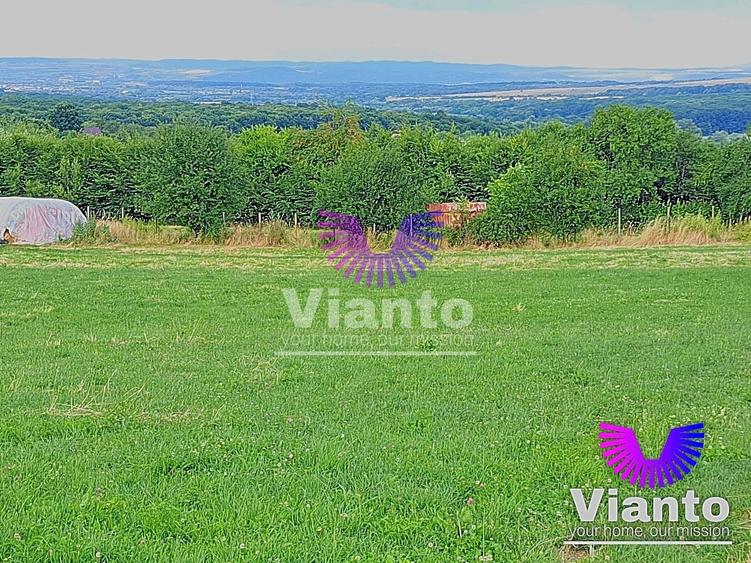 Teren agricol extravilan de 3100 mp, în Rășinari