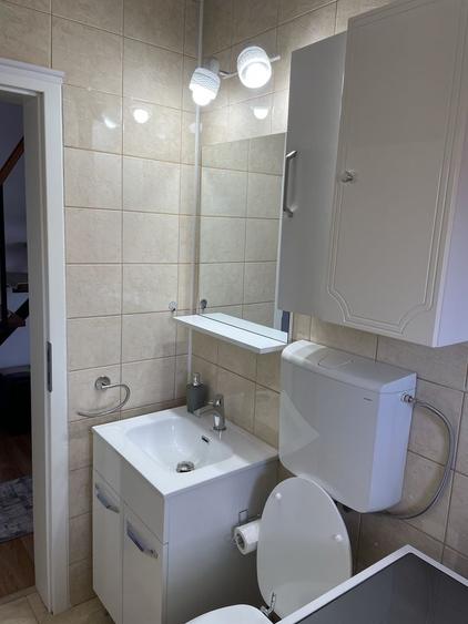 Apartament cu 3 camere decomandat în Terezian