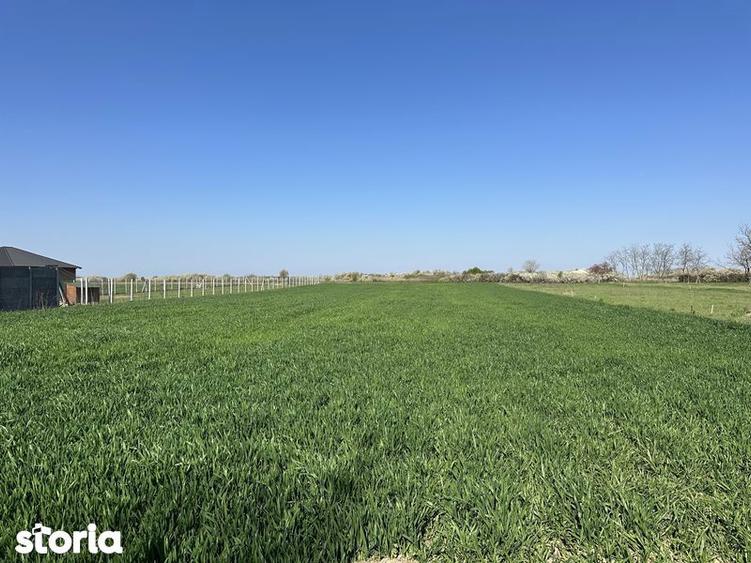 Teren de 3900 mp, în Gepiu