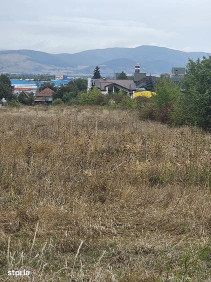 Teren de 2850 mp, în Zăvoi