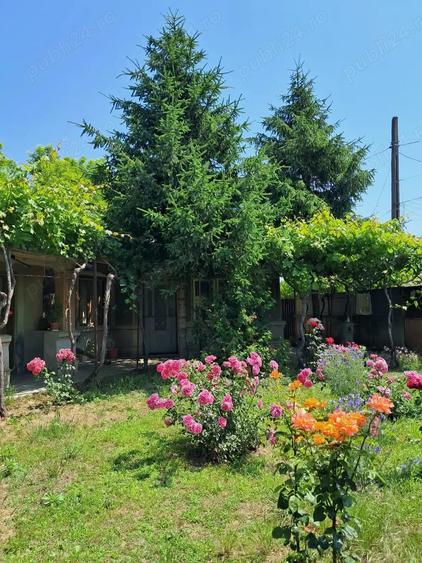 Casă cu 4 camere cu Teren 750 Mp în Chercea