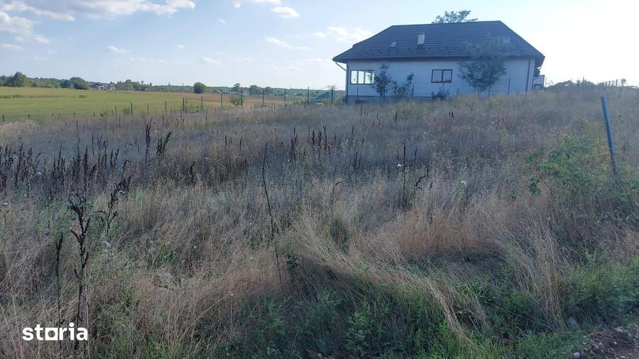 Teren intravilan | 800 mp | Balteni - Peri? - 2