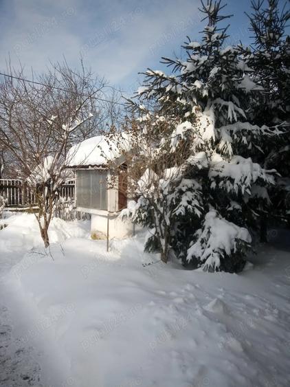 Casă cu 3 camere în Bretea Mureșană
