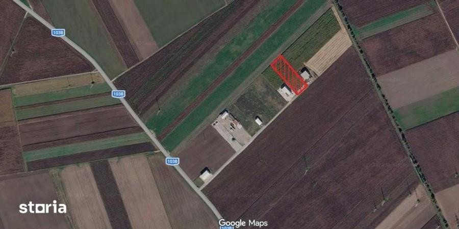 Teren de 5000 mp, în Central