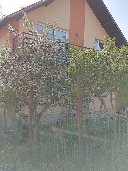 Casă cu Teren 600 Mp în Viișoara