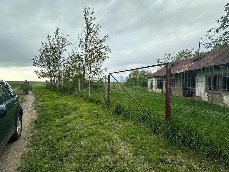 Teren de 11300 mp, în Balta Doamnei