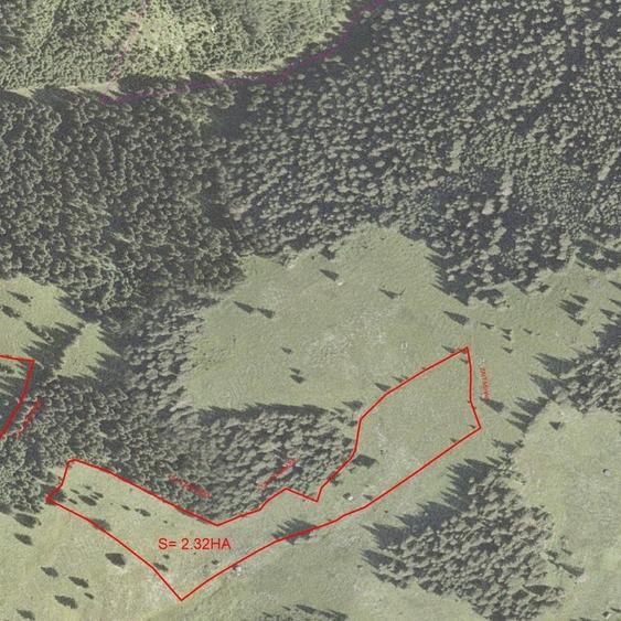 Teren de 34600 mp, în Cârlibaba