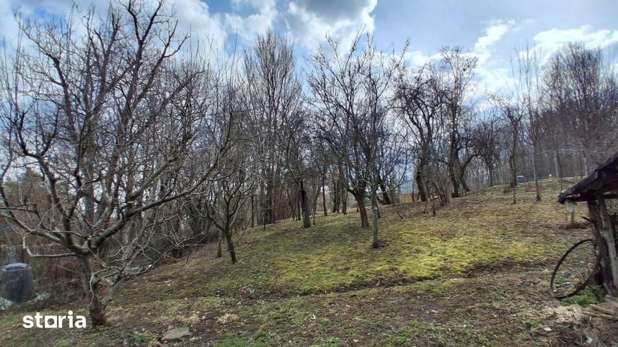 Casă cu 4 camere cu Teren 1600 Mp în Poiana