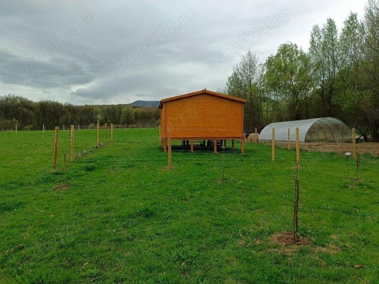 Teren de 16800 mp, în Sibiel