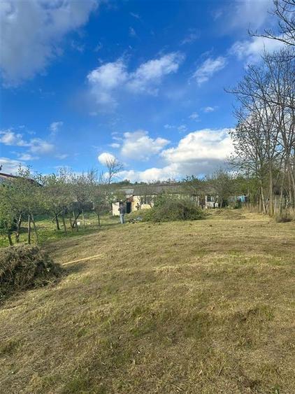 Teren intravilan de 1246 mp, în Rediu