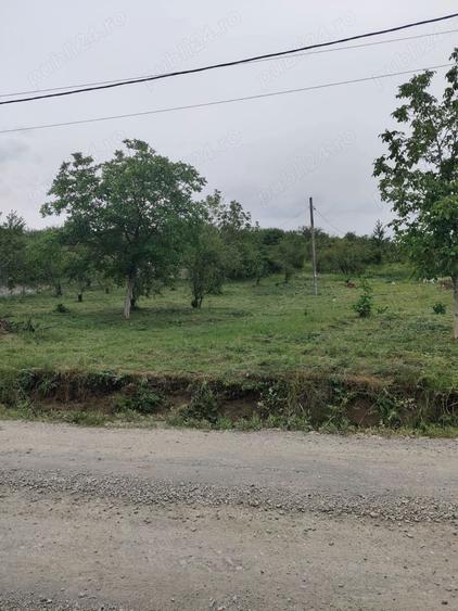 Teren de 14251 mp, în Podgoria