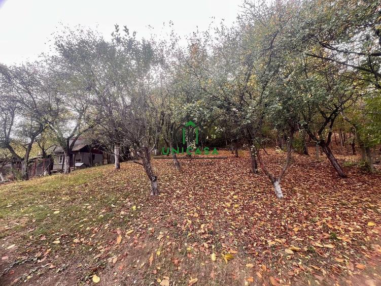 Teren agricol intravilan de 4257 mp, în Morilor