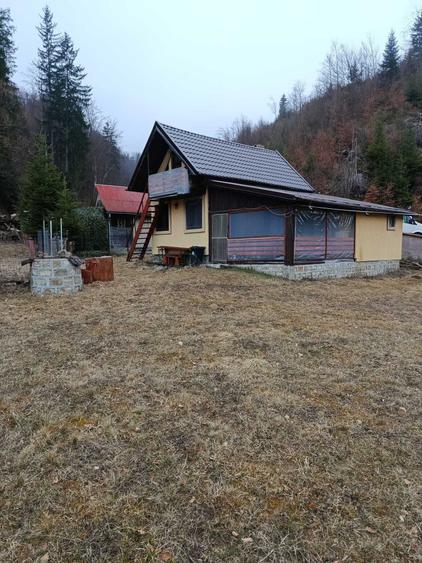 Casă cu 3 camere în Lepșa
