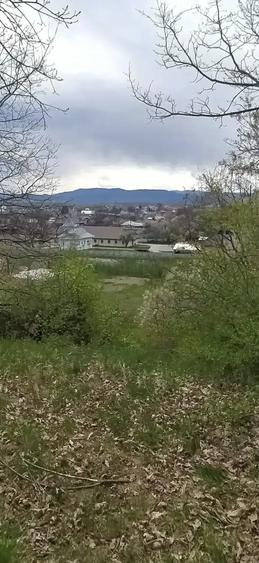 Teren de 5000 mp, în Central