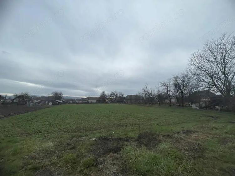 Teren intravilan de vanzare, 1065 mp, loc. Cuzdrioara - 1