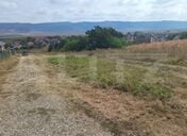 Teren Construcții intravilan de 2358 mp, în Luna