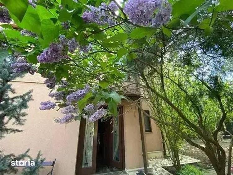 Vila Premium | Jandarmeriei | 8 Camere | Arhitectura Eleganta - 5
