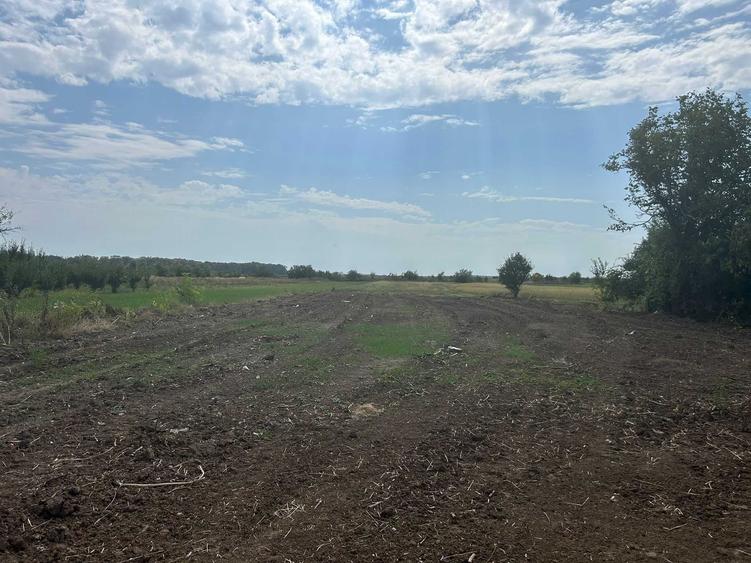 Teren intravilan 3.650 mp in Calugareni, Dambovita la 40 km de Bucuresti, ideal pentru constructie - 3