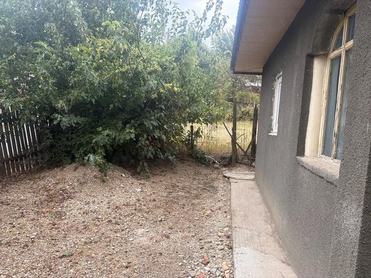 Casă cu Teren 2000 Mp în Prundu
