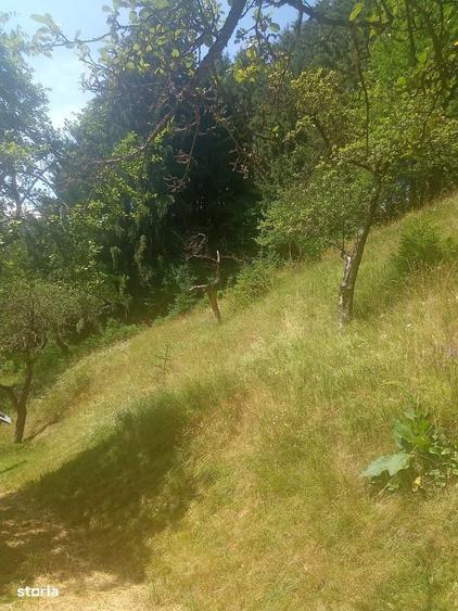 Casă cu 3 camere în Răchițele