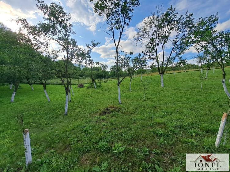 Teren Construcții intravilan de 2400 mp, în Benic