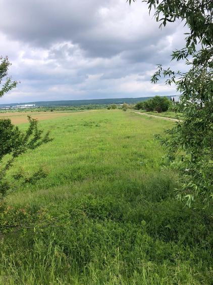 Teren agricol intravilan de 13500 mp, în Micești