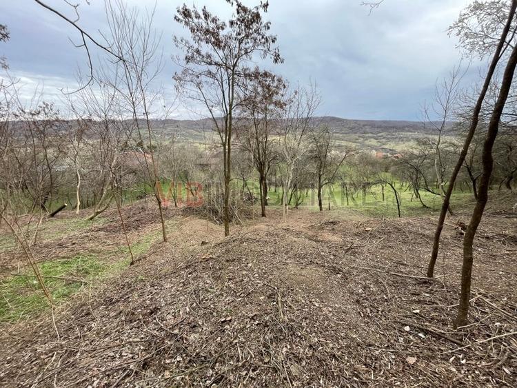 Teren Construcții intravilan de 7280 mp, în Mihăești