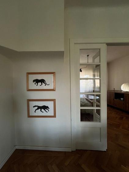 Apartament cu 2 camere în Pache Protopopescu