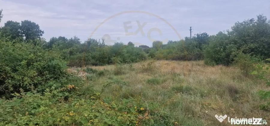 Teren de 2700 mp, în Poiana Lacului