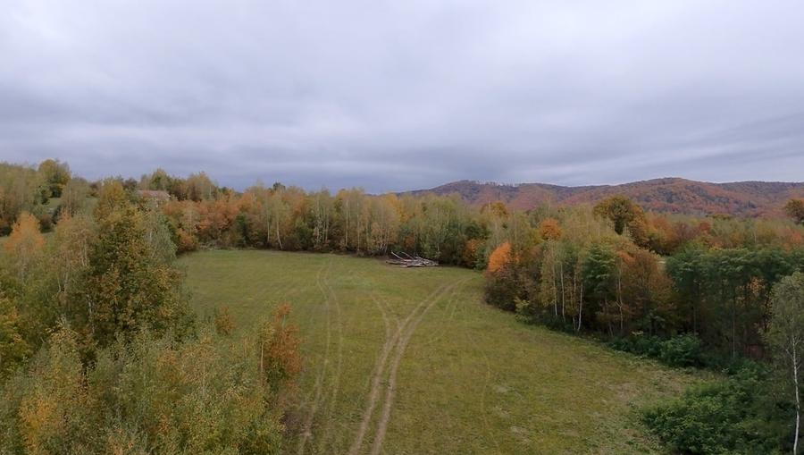 Teren agricol extravilan de 18860 mp, în Șinca Nouă