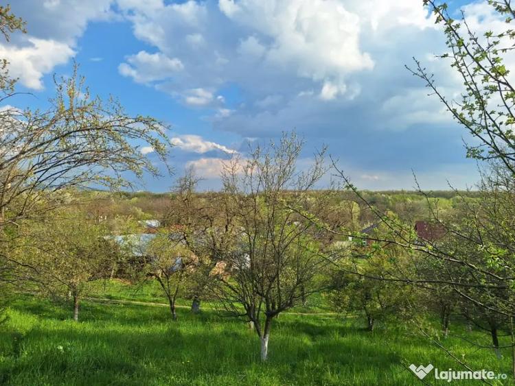 Mo?ia boiereasca din varf de deal, Scor?eni - Prahova! - 17