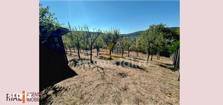 Teren de 1400 mp, în Central