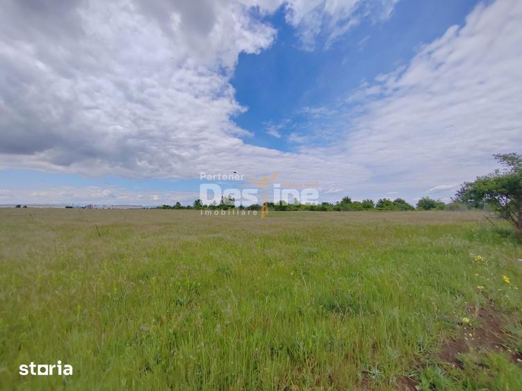 Teren de 114000 mp, în Ariceștii Rahtivani